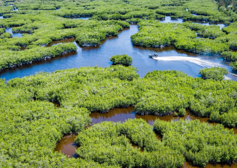 Everglades: Mangrove, Grassland Airboat Tours, & Boardwalk - Price and Logistics: Meeting Point, Parking, and the 5-Mile Split