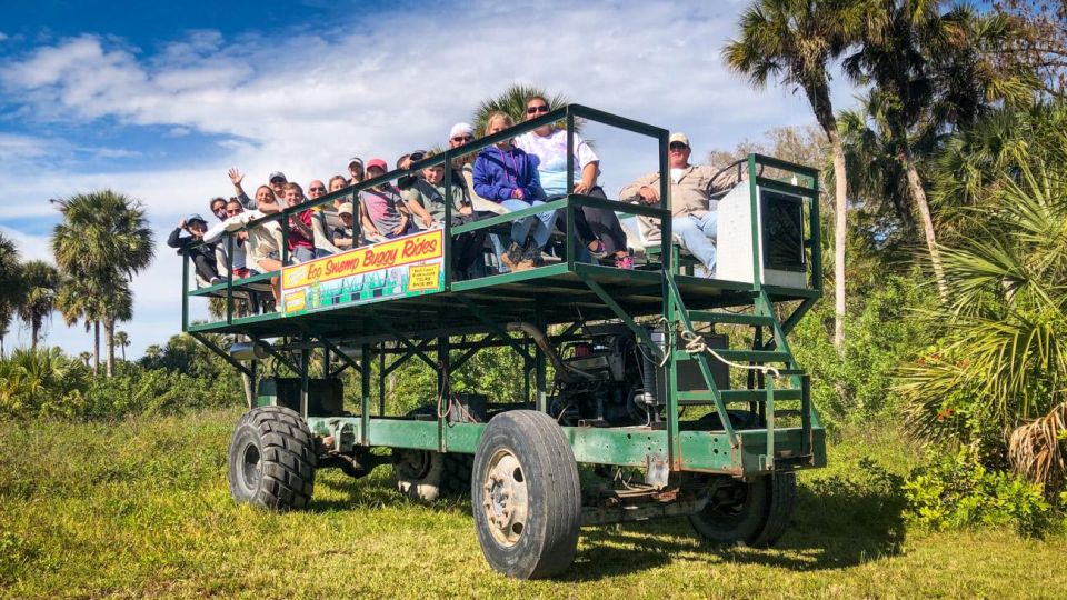 Everglades: Mangrove, Grassland Airboat Tours, & Boardwalk - What to Bring (and What Can Ruin Your Day)