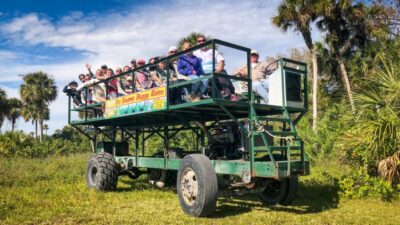 Everglades: Mangrove Maze Airboat Tour and Boardwalk - Why Your Guide Changes the Whole Experience: Plants, History, and the “Look Here” Style