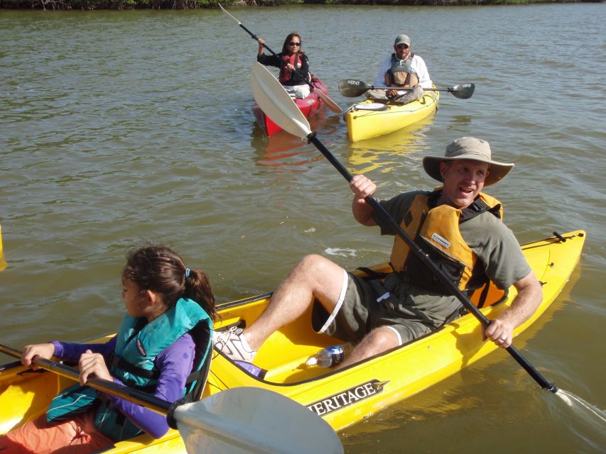 Everglades National Park 3-Hour Kayak Eco Tour - Key highlights that matter