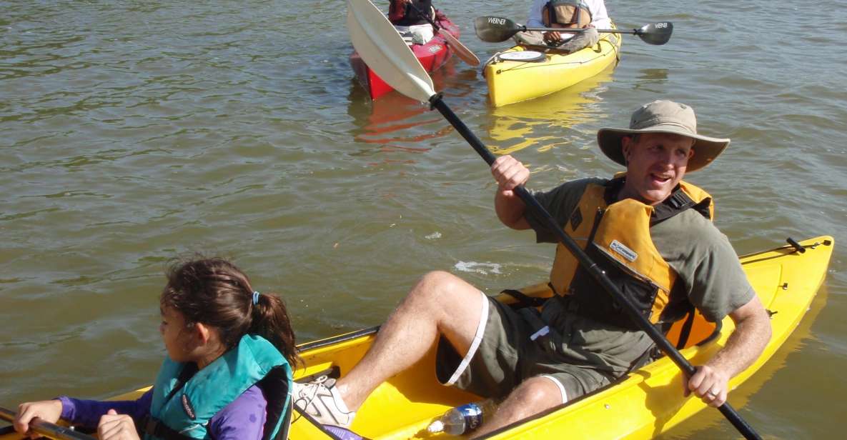 Everglades National Park 3-Hour Kayak Eco Tour - Florida Master Naturalists: how the guide shapes what you notice