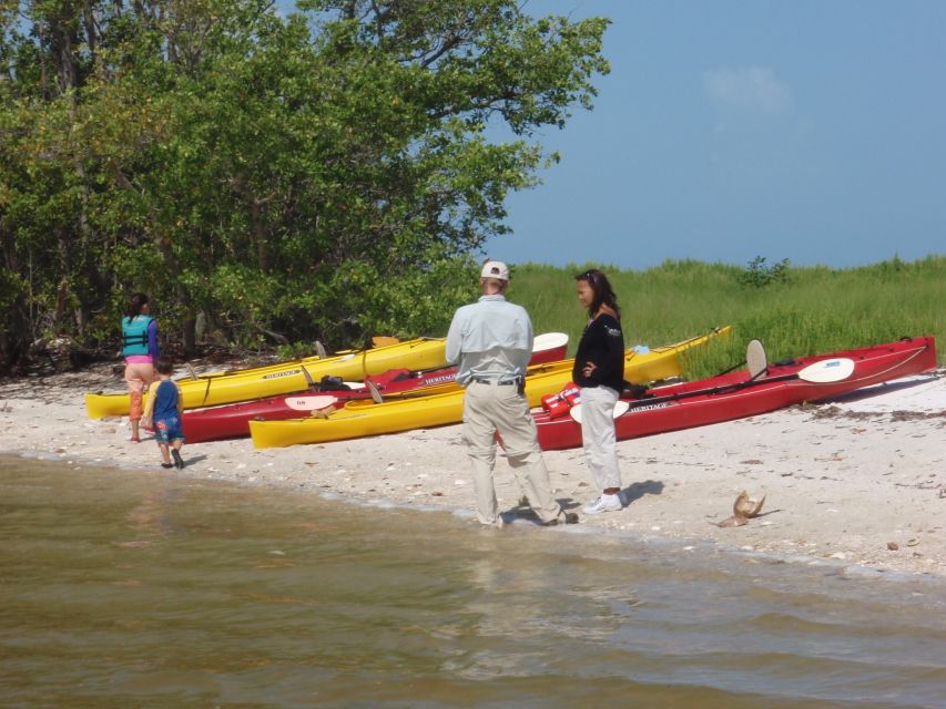 Everglades National Park: Boat Assisted Kayak Eco Tour - Key points to know before you go
