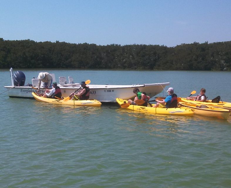 Everglades National Park: Boat Assisted Kayak Eco Tour - A Chokoloskee Launch Into the Coastal Everglades