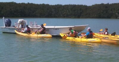 Everglades National Park: Boat Assisted Kayak Eco Tour - Why a Master Naturalist Guide Changes the Whole Tour