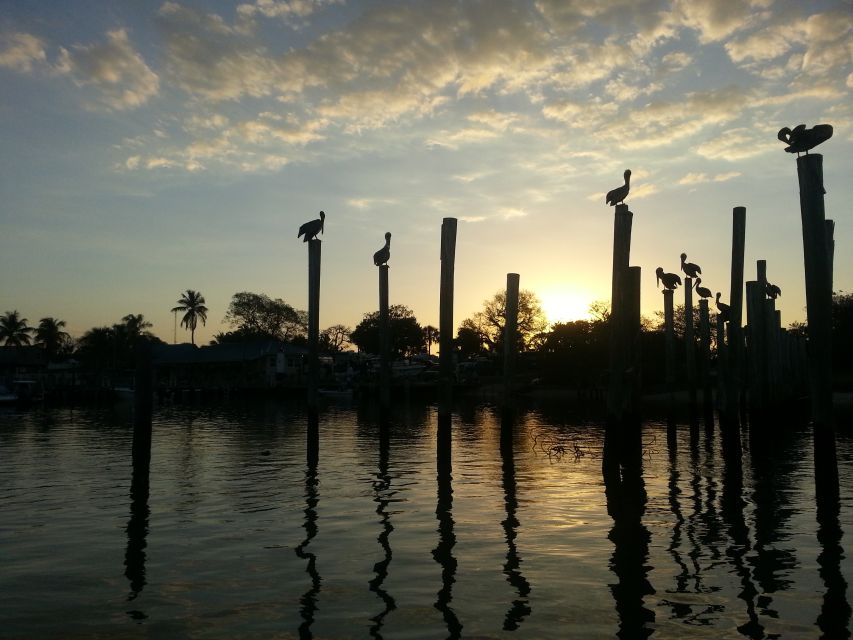 Everglades National Park: Motorboat Eco Tour - Key highlights worth circling