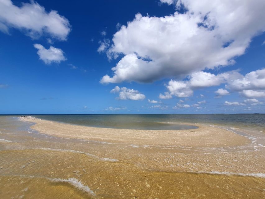 Everglades National Park: Motorboat Eco Tour - Cruising the 10,000 Islands in a 3-hour motorboat tour