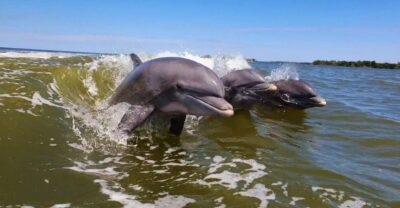 Everglades National Park: Motorboat Eco Tour - Where you start at Glades Haven Marina (and the one thing to plan for)