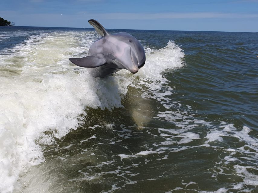 Everglades National Park: Motorboat Eco Tour - Price and value: is $173 worth it?