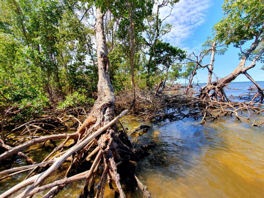 Everglades National Park: Motorboat Eco Tour - Who should book this Everglades boat tour (and who should skip it)