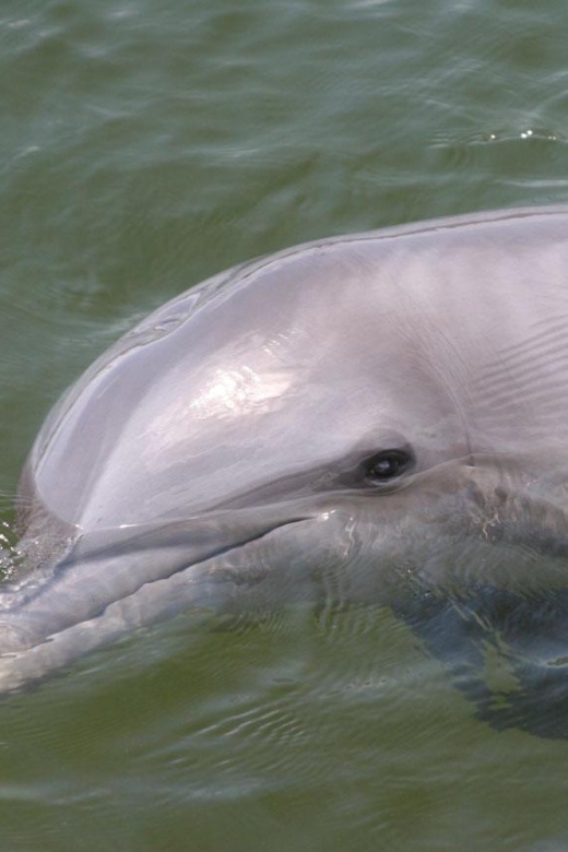 Everglades National Park: Pontoon Boat Tour & Boardwalk - Getting Oriented at Marjory Stoneman Douglas Visitor Center