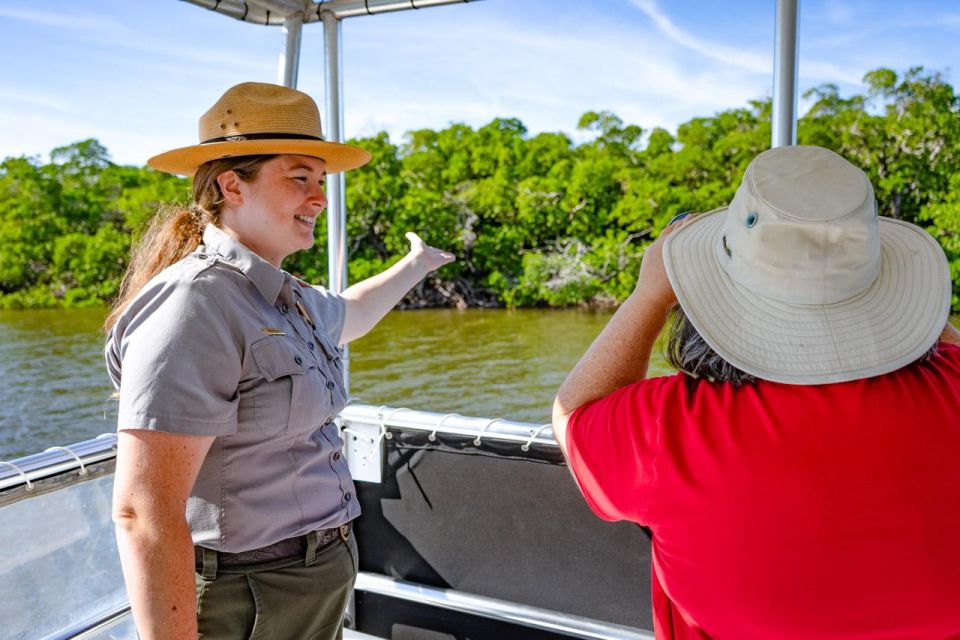 Everglades National Park: Pontoon Boat Tour & Boardwalk - Wildlife Odds: Dolphins, Manatees, Turtles, and Birds
