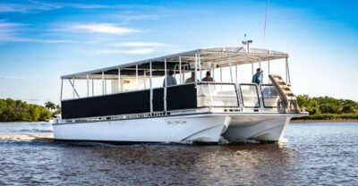 Everglades National Park: Pontoon Boat Tour & Boardwalk - Pontoon Boat Time: Ten Thousand Islands Without the Jitters