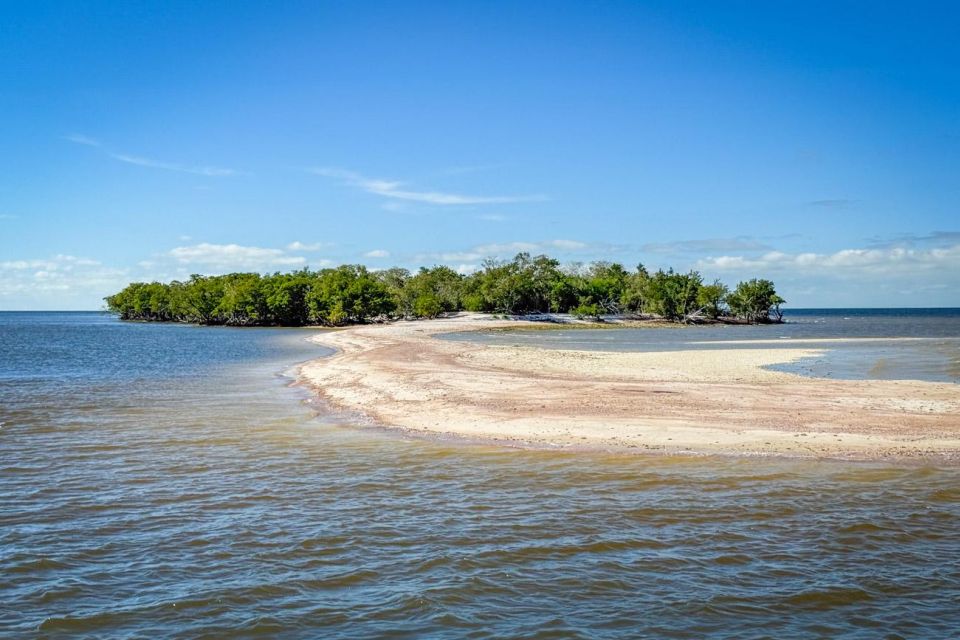 Everglades National Park: Pontoon Boat Tour & Boardwalk - Price and Value: $60 Plus the Entrance Pass