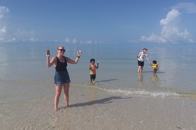 Everglades Small Group Guided Boating and Walking Expedition - Key highlights I’d plan around