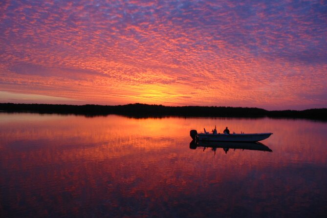 Everglades Small Group Guided Boating and Walking Expedition - Wildlife spotting that stays realistic (and photo-friendly)