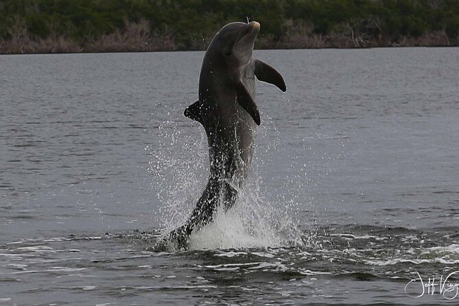 Everglades Small Group Guided Boating and Walking Expedition - Florida Master Naturalist guidance you can actually use