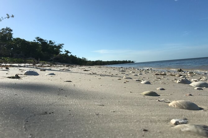 Everglades Small Group Guided Boating and Walking Expedition - Practical notes before you go: weather, entry, and what to bring