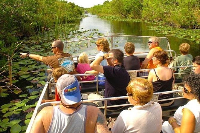 Everglades Wildlife Tour: Airboat & Alligator Habitat Experience - The Miami-to-Everglades Logistics: Meeting Point, Transport, and Pace