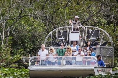 Everglades Wildlife Tour: Airboat & Alligator Habitat Experience - Everglades Park Time and the Gator Show (Short, But the Point)