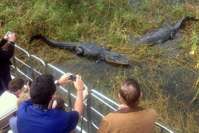 Everglades Wildlife Tour: Airboat & Alligator Habitat Experience - Bayside Marketplace After the Park: Free Time That Helps Your Day