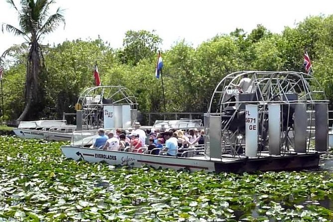 Everglades Wildlife Tour: Airboat & Alligator Habitat Experience - Should You Book This Everglades Airboat and Gator Habitat Tour?
