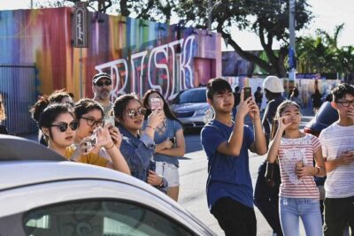 Explore Wynwood with local artist - Stop 1: Wynwood Walls in 15 minutes (and why the ticket matters)