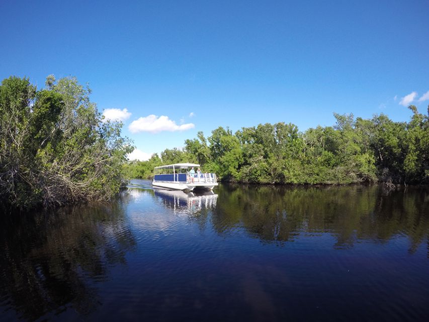 Flamingo Marina: Backcountry Boat Tour of the Everglades - Meeting point, timing, and how to show up prepared