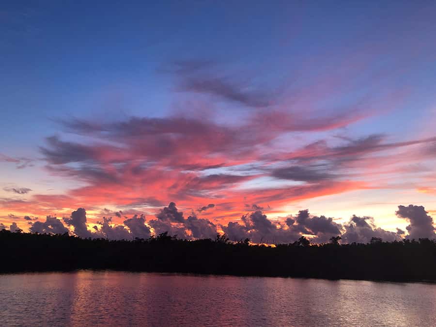 Flamingo Marina: Florida Bay Boat Tour of the Everglades - Wildlife spotting: osprey, manatees, dolphins, and more
