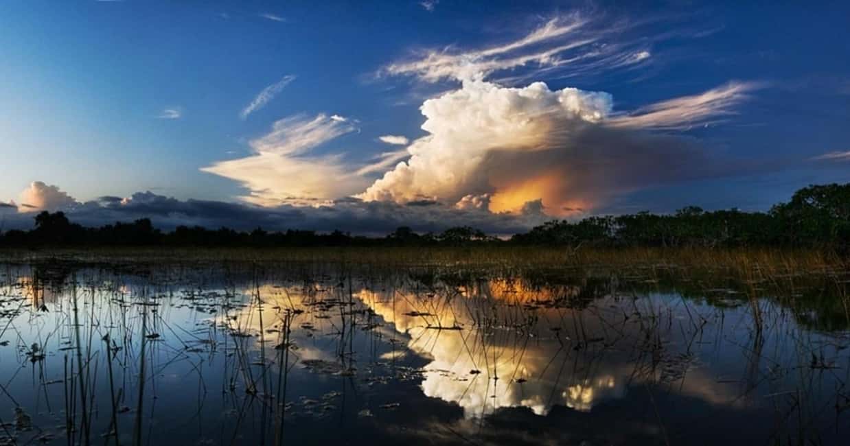 From Miami: Everglades at Night with Guided Airboat Tour - Key points to know before you go
