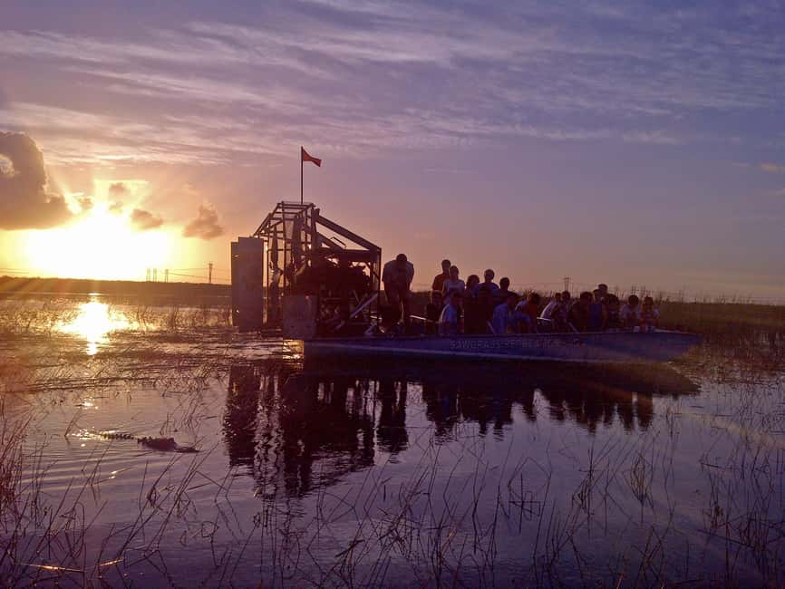 From Miami: Everglades at Night with Guided Airboat Tour - How the Miami-to-Sawgrass transfer sets the tone