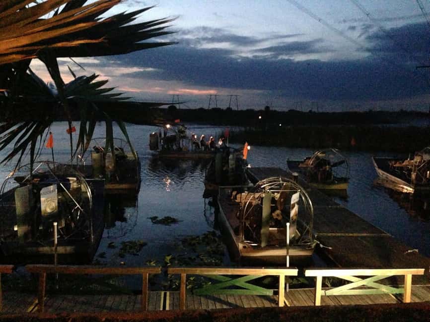 From Miami: Everglades at Night with Guided Airboat Tour - Who this tour fits best (and who should consider other options)