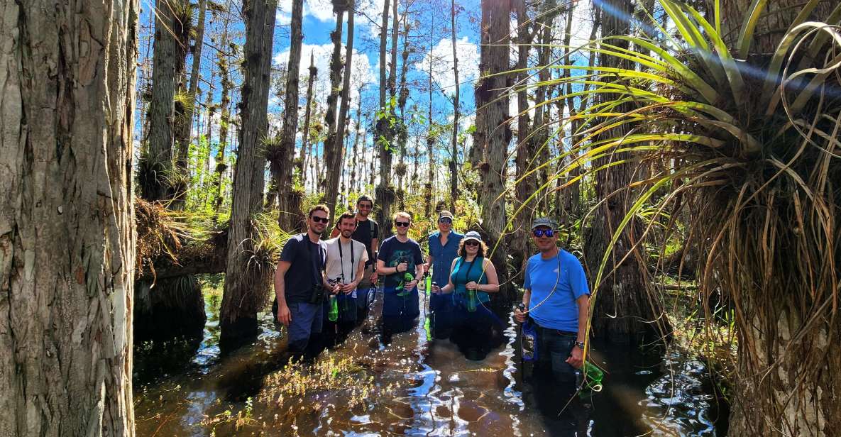 From Miami: Everglades Tour w/ Wet Walk, Boat Trips, & Lunch - Price and value: $389 from Miami, and what you’re really paying for