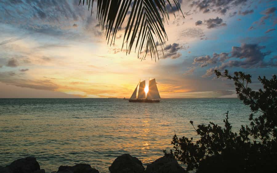 From Miami: Key West Day Trip with Narration - Price and Value: What $39 Really Buys You