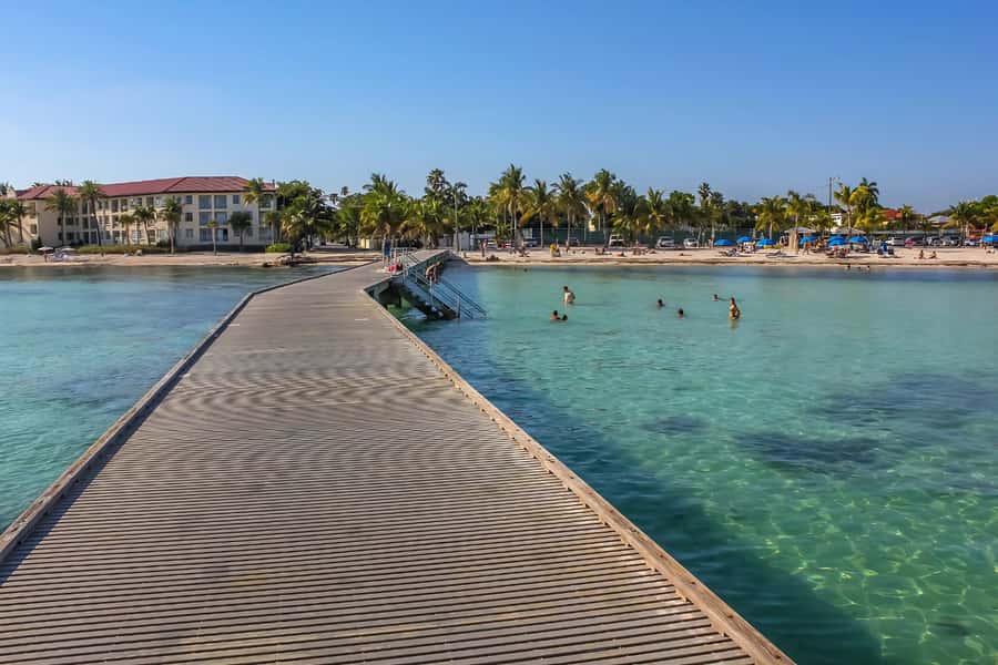 From Miami: Key West Day Trip with Narration - Hemingway House, Historic Seaport, and the Cemetery Choice