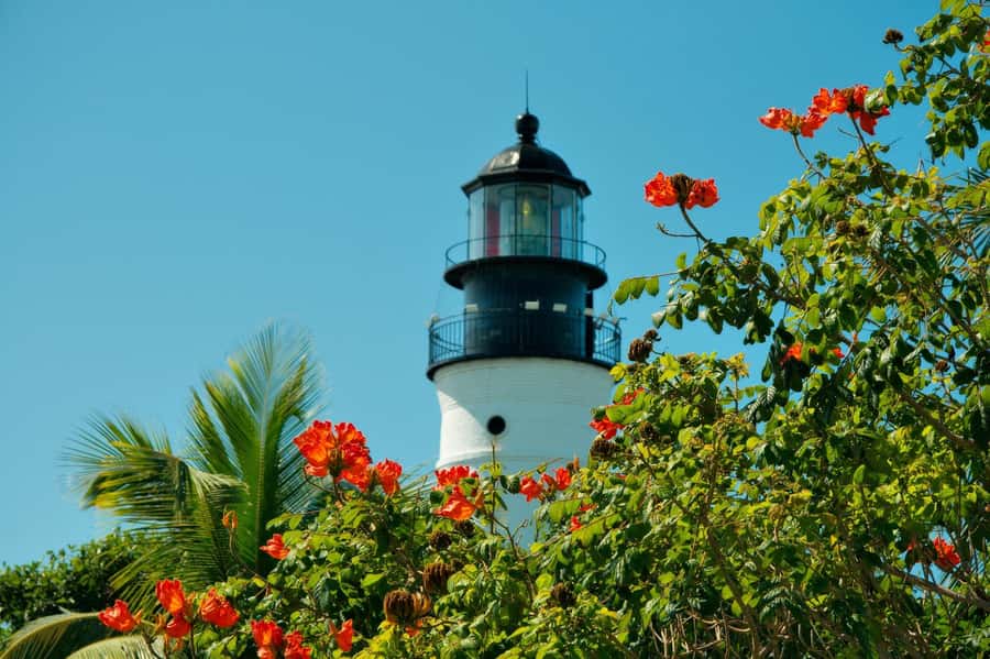 From Miami: Key West Day Trip with Narration - Dry Tortugas: Worth Knowing About, but Not Guaranteed on This Day