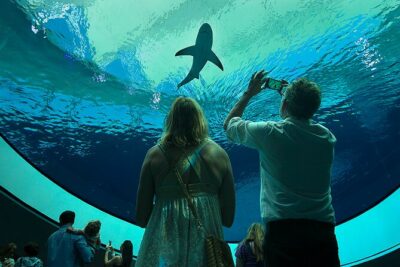 Frost Science Museum Admission Tickets - Price and value: is $29.95 a good deal?