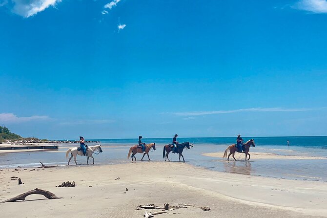 Guided Horseback Riding on The Pristine Waters of Miami Florida - Key Highlights You’ll Care About