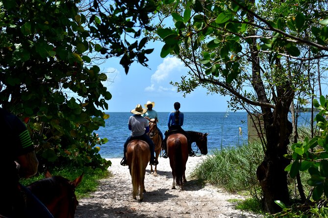 Guided Horseback Riding on The Pristine Waters of Miami Florida - Historic Virginia Key Beach Park: The Setting for a Beach Ride