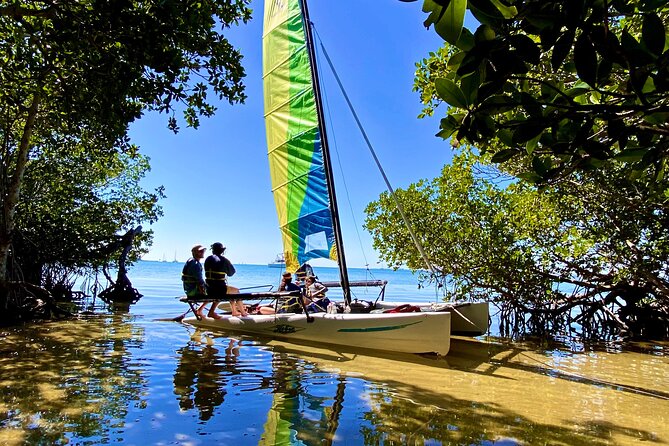 Half-Day Private Guided Sailing Adventure of Miami's Biscayne Bay - Key Biscayne mangroves: birds, a snorkel chance, and quiet time