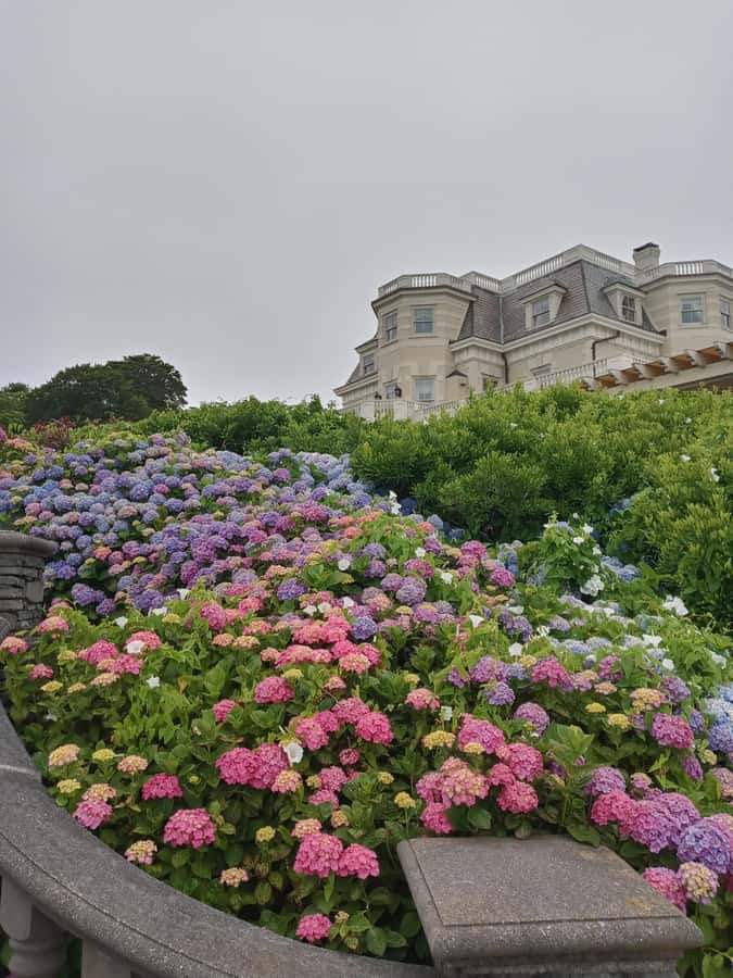 Historic Highlights of Newport,RI with with the Gilded Age - A Private Newport Tour That Doesn’t Rush You