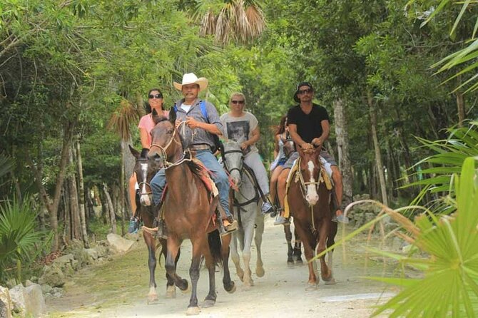 Horse Riding in Miami's Countryside - Key highlights to look for