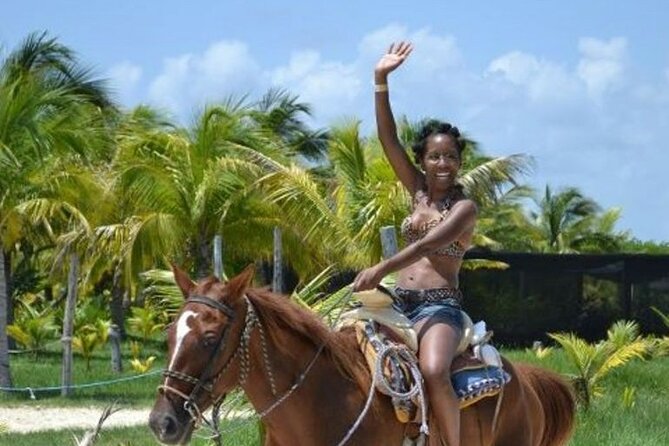 Horse Riding in Miami's Countryside - Getting There at 15515 SW 177th Ave and What Happens Before You Mount