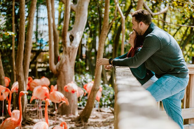 Jungle Island General Admission Ticket - Key Highlights You’ll Feel Fast