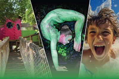 Jungle Island General Admission Ticket - What’s Included With Your $29.95 Ticket (And What It Means)