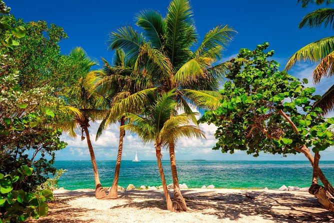 Key West Day Trip from Miami with Activities - Optional add-ons: picking the one that matches your pace