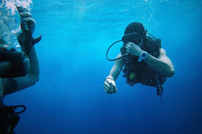 Key West from Miami with Snorkeling, Drinks and Hard Rock Cafe Meal - Tips to make the day work smoothly