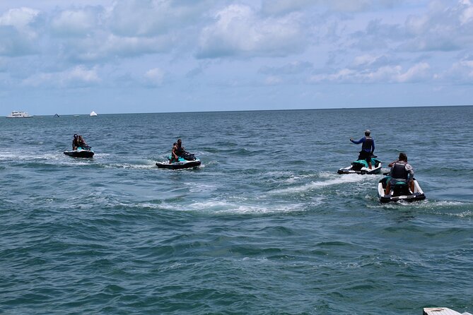 Key West Tours from Miami: Dolphin Discovery, Snorkeling & More ! - Coral Reef Context: What You’re Actually Seeing