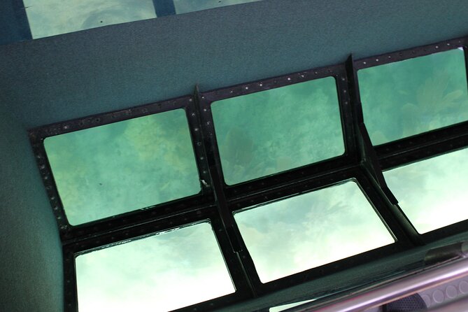 Key West Tours from Miami: Dolphin Discovery, Snorkeling & More ! - Dolphin Watch: Snorkeling Gear Included, Dolphins Are the Star