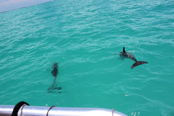 Key West Tours from Miami: Dolphin Discovery, Snorkeling & More ! - Jet Ski Option: Fun Potential, But Bring the Right Assumptions
