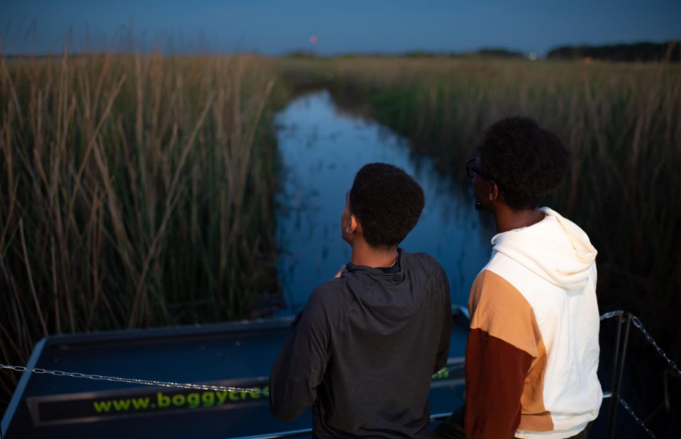 Kissimmee: Boggy Creek Airboats Adventures Night Tour Ticket - What you’ll learn about American alligators (and how to watch better)